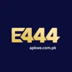 E444 Game