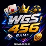 WGS456 Game