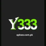 Y333 Game