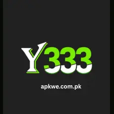 Y333 Game