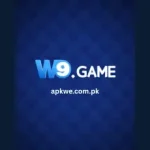 W9 Game