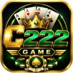 C222 Game